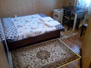 Гостевой дом Nursat Guest House Нур-Султан Двухместный номер эконом-класса с 1 кроватью-1